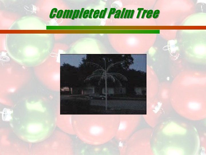 Completed Palm Tree 