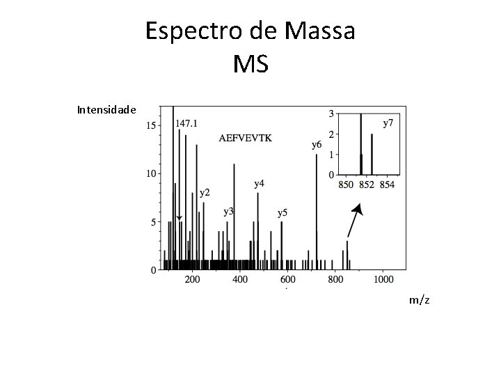 Espectro de Massa MS Intensidade m/z 