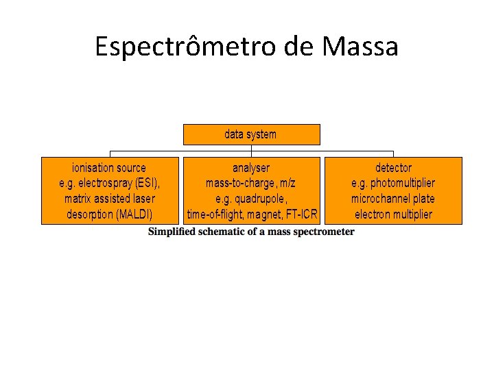 Espectrômetro de Massa 