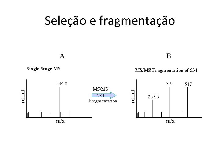 Seleção e fragmentação 