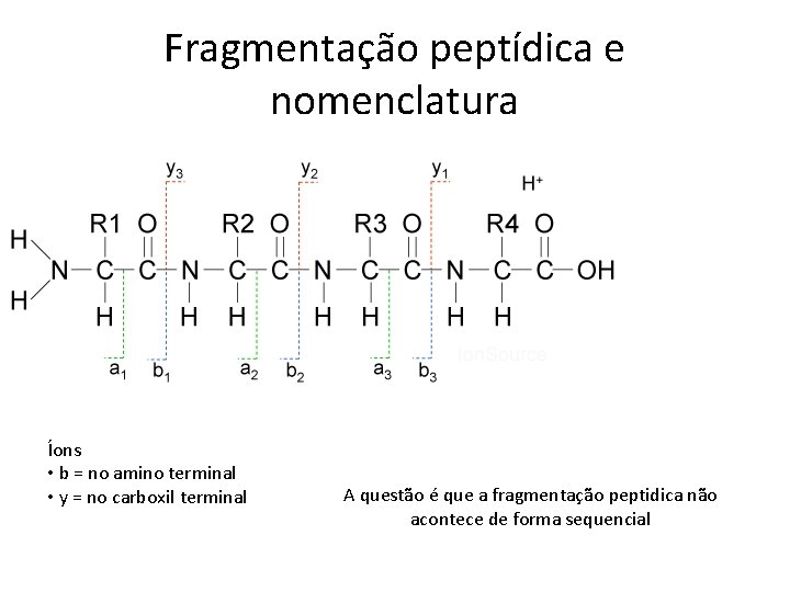 Fragmentação peptídica e nomenclatura Íons • b = no amino terminal • y =