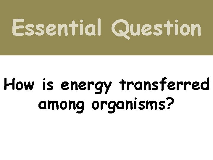 Essential Question How is energy transferred among organisms? 