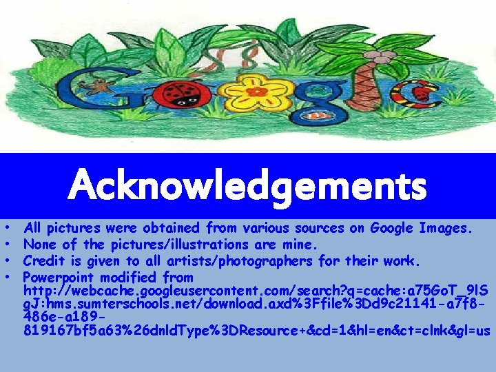 Acknowledgements • • All pictures were obtained from various sources on Google Images. None