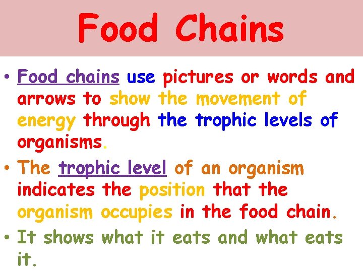 Food Chains • Food chains use pictures or words and arrows to show the