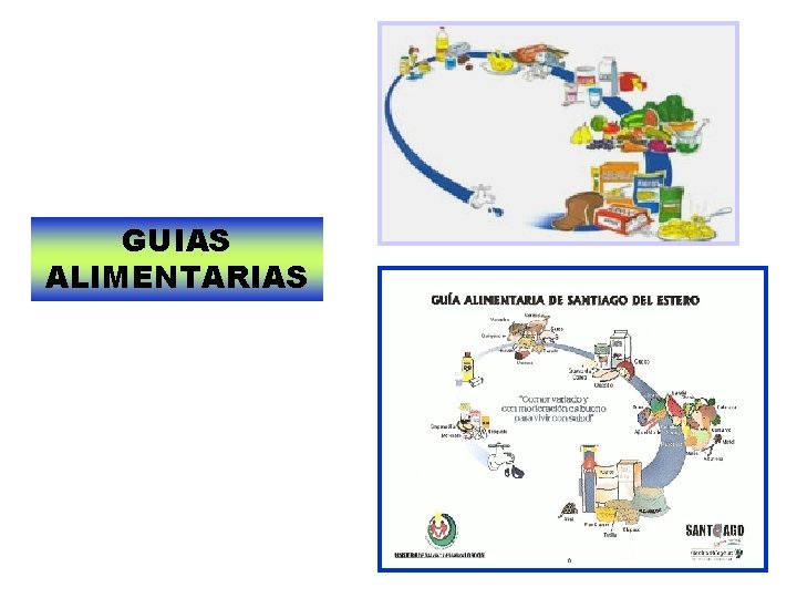 GUIAS ALIMENTARIAS 