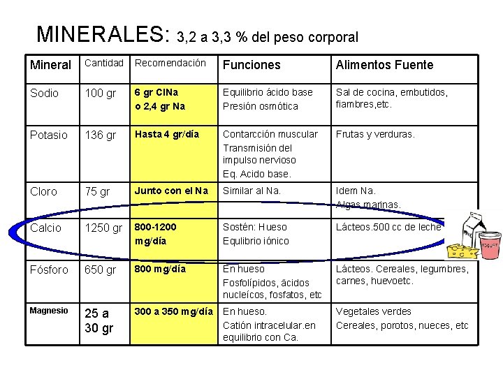 MINERALES: 3, 2 a 3, 3 % del peso corporal Mineral Cantidad Recomendación Funciones