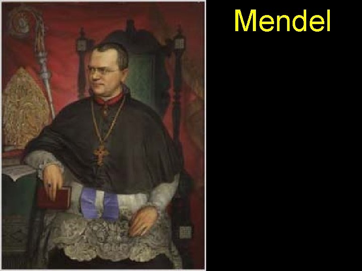 Mendel 