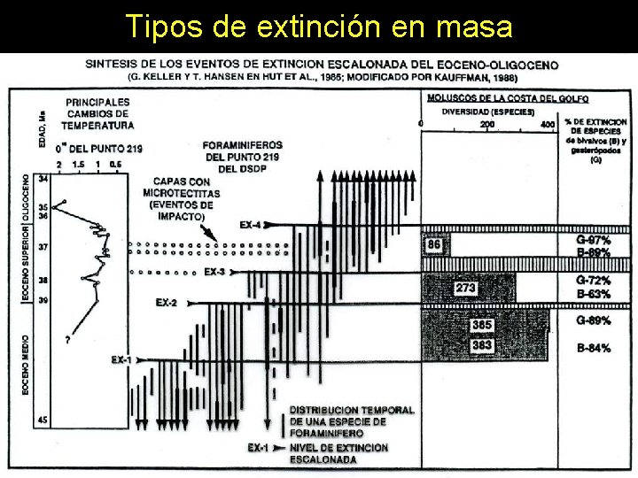 Tipos de extinción en masa 