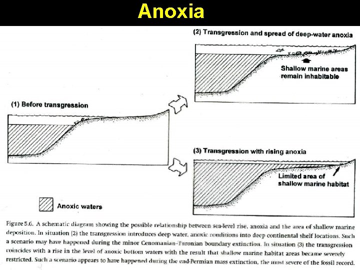 Anoxia 