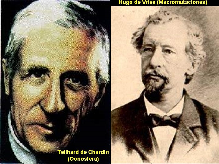 Hugo de Vries (Macromutaciones) Teilhard de Chardin (Oonosfera) 