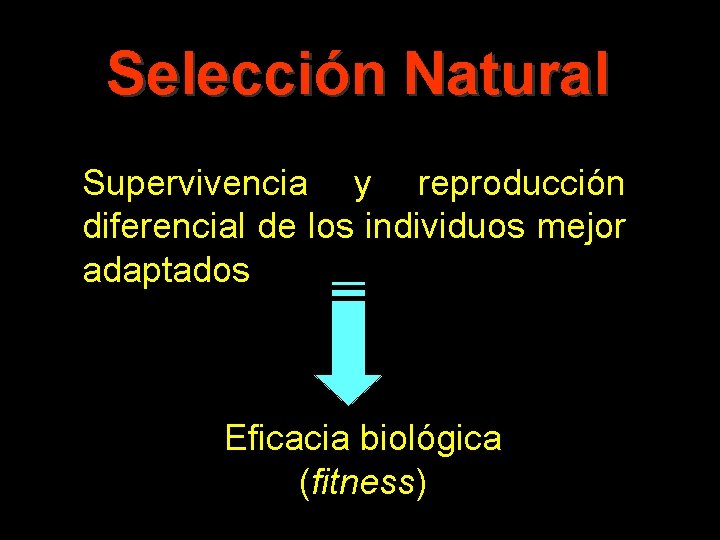 Selección Natural Supervivencia y reproducción diferencial de los individuos mejor adaptados Eficacia biológica (fitness)