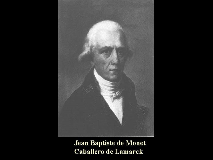Jean Baptiste de Monet Caballero de Lamarck 
