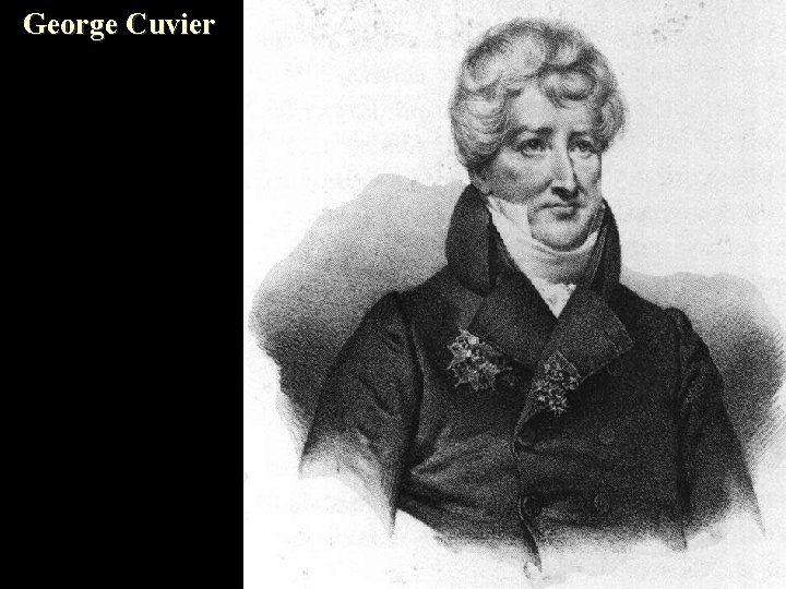 George Cuvier 