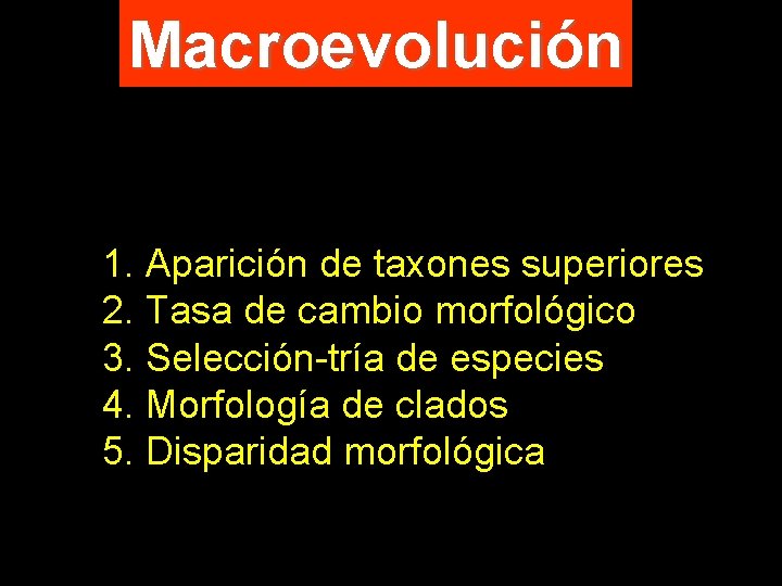 Macroevolución 1. Aparición de taxones superiores 2. Tasa de cambio morfológico 3. Selección-tría de