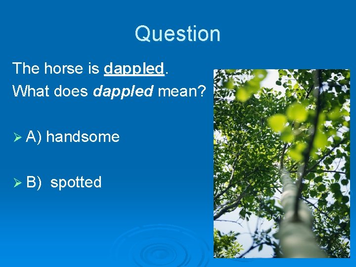 Question The horse is dappled. What does dappled mean? Ø A) handsome Ø B)