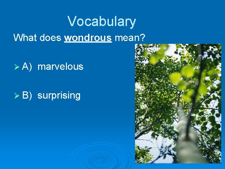 Vocabulary What does wondrous mean? Ø A) marvelous Ø B) surprising 