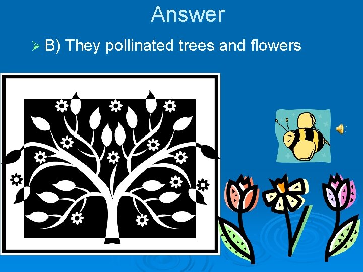 Answer Ø B) They pollinated trees and flowers 
