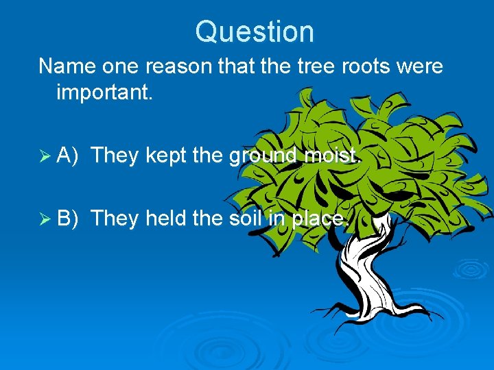 Question Name one reason that the tree roots were important. Ø A) They kept