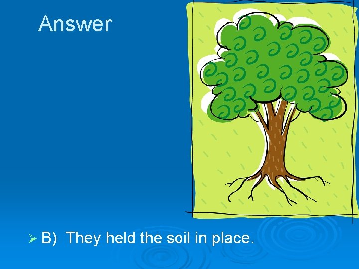 Answer Ø B) They held the soil in place. 