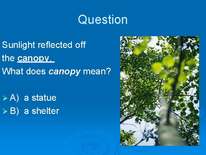 Question Sunlight reflected off the canopy. What does canopy mean? Ø A) a statue