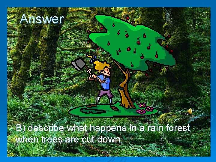 Answer Ø B) describe what happens in a rain forest when trees are cut