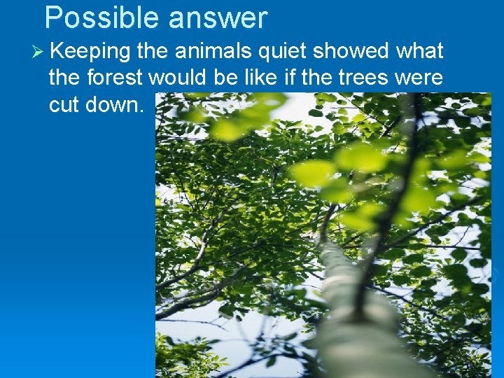 Possible answer Ø Keeping the animals quiet showed what the forest would be like