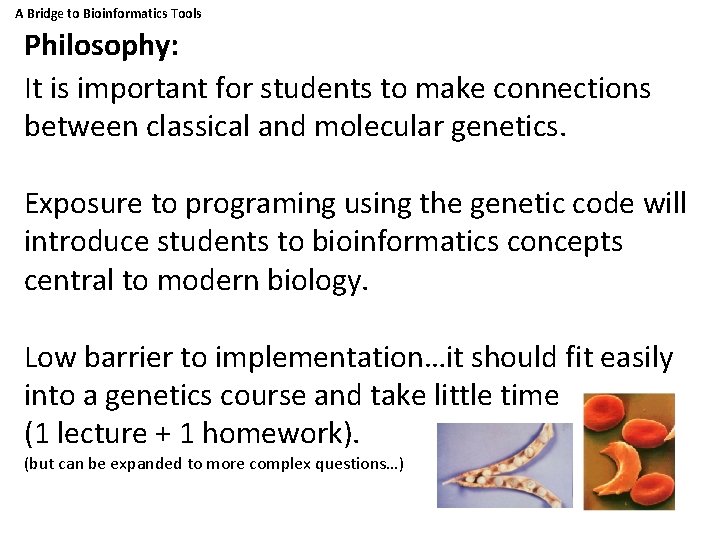 A Bridge to Bioinformatics Tools Philosophy: It is important for students to make connections