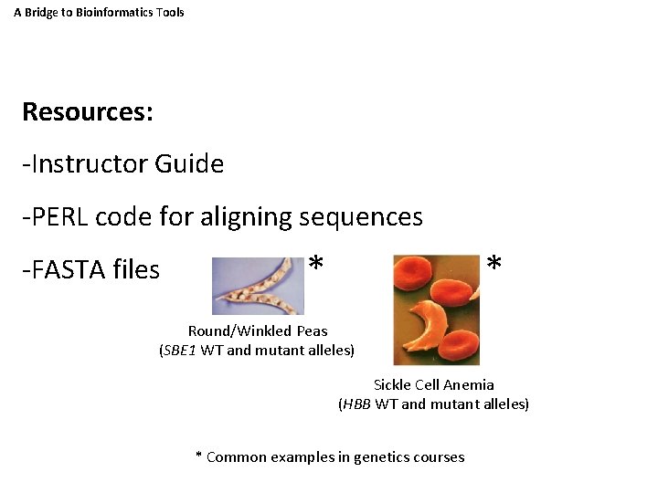 A Bridge to Bioinformatics Tools Resources: -Instructor Guide -PERL code for aligning sequences -FASTA