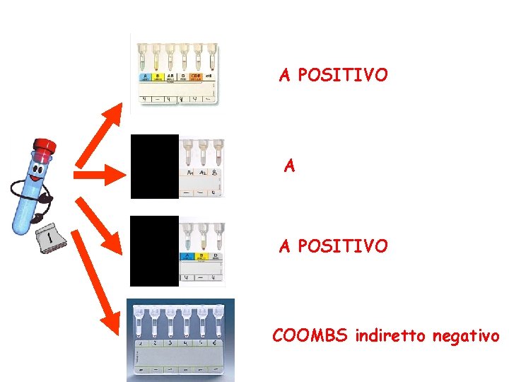 A POSITIVO A A POSITIVO COOMBS indiretto negativo 