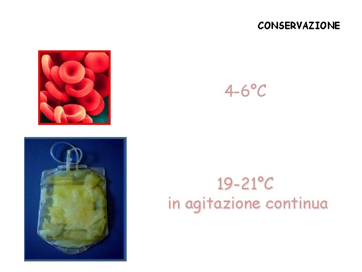 CONSERVAZIONE 4 -6°C 19 -21°C in agitazione continua 