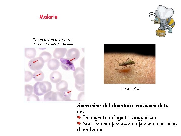 Malaria Pasmodium falciparum P. Vivax, P. Ovale, P. Malariae Anopheles Screening del donatore raccomandato