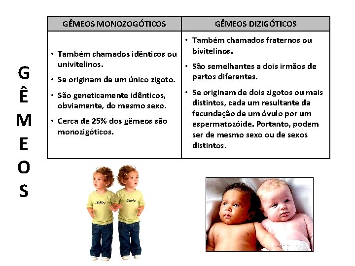 GÊMEOS MONOZOGÓTICOS • G Ê M E O S • • • GÊMEOS DIZIGÓTICOS