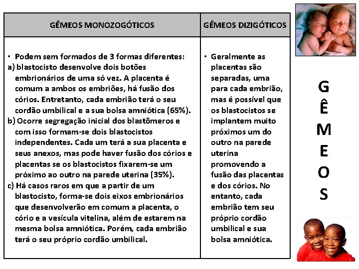 GÊMEOS MONOZOGÓTICOS GÊMEOS DIZIGÓTICOS • Podem sem formados de 3 formas diferentes: a) blastocisto GÊMEOS MONOZOGÓTICOS GÊMEOS DIZIGÓTICOS • Podem sem formados de 3 formas diferentes: a) blastocisto