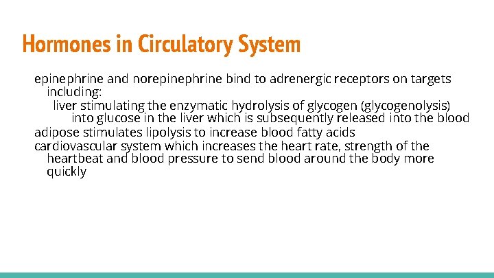 Hormones in Circulatory System epinephrine and norepinephrine bind to adrenergic receptors on targets including:
