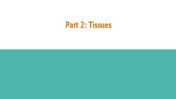 Part 2: Tissues 
