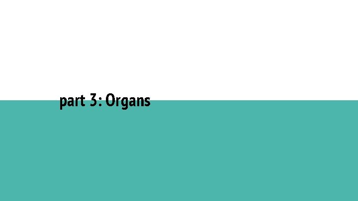 part 3: Organs 