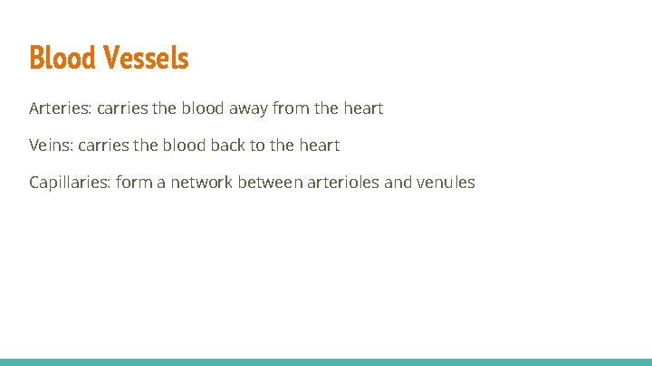 Blood Vessels Arteries: carries the blood away from the heart Veins: carries the blood