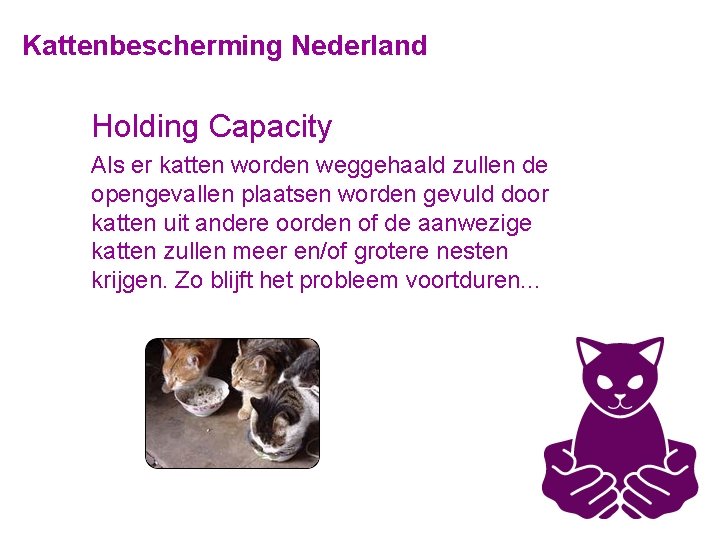 Kattenbescherming Nederland Holding Capacity Als er katten worden weggehaald zullen de opengevallen plaatsen worden