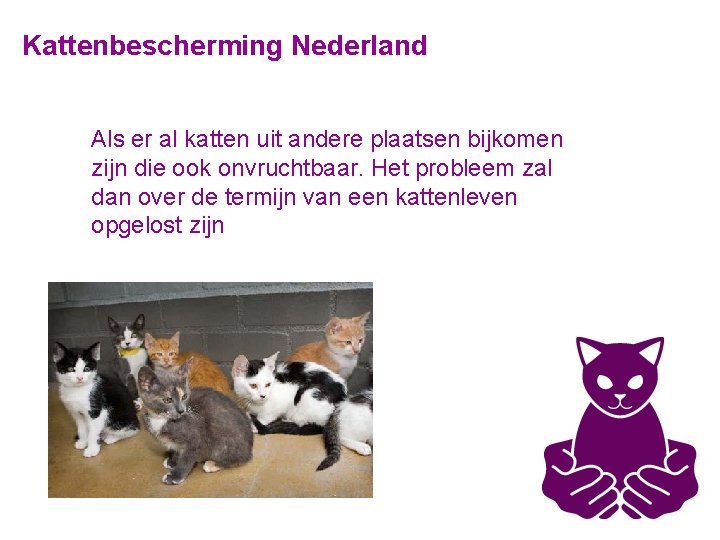 Kattenbescherming Nederland Als er al katten uit andere plaatsen bijkomen zijn die ook onvruchtbaar.