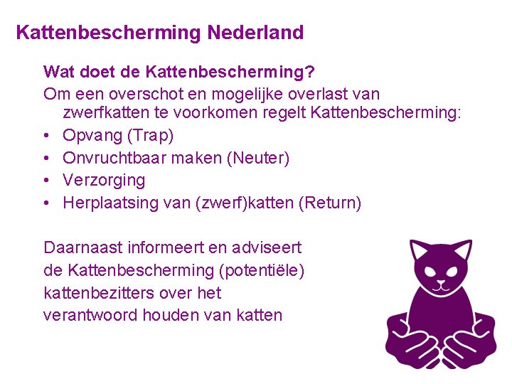 Kattenbescherming Nederland Wat doet de Kattenbescherming? Om een overschot en mogelijke overlast van zwerfkatten