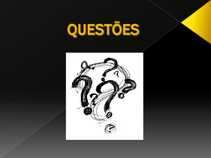 QUESTÕES 