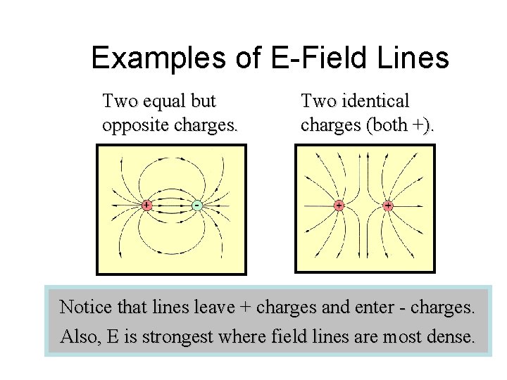 Examples of E-Field Lines Two equal but opposite charges. Two identical charges (both +).