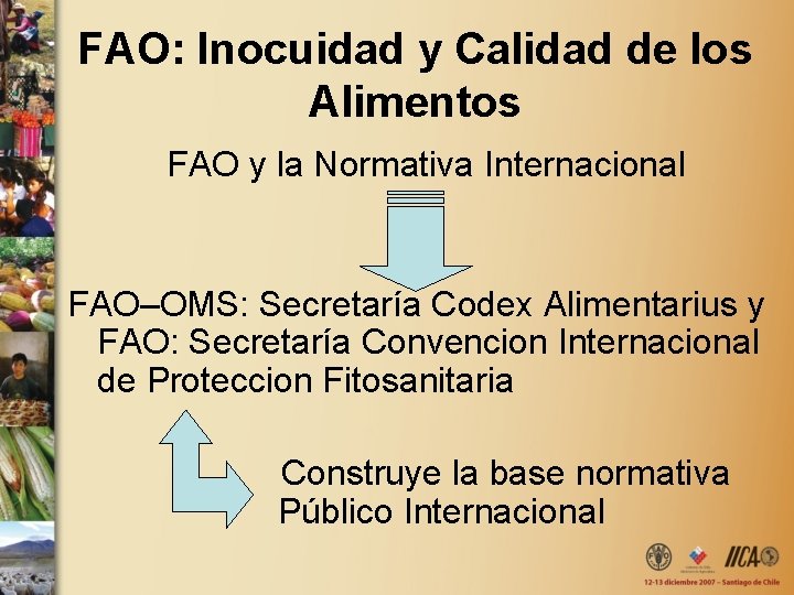 FAO: Inocuidad y Calidad de los Alimentos FAO y la Normativa Internacional FAO–OMS: Secretaría