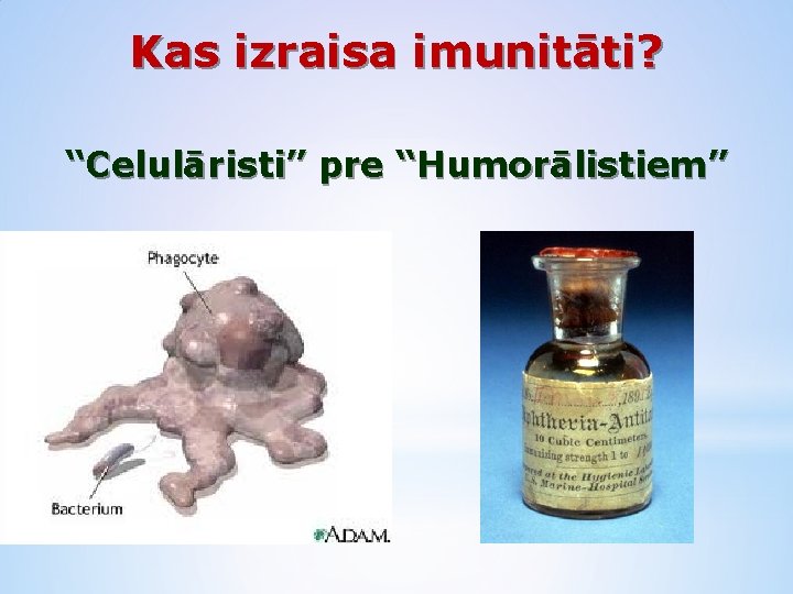 Kas izraisa imunitāti? “Celulāristi” pre “Humorālistiem” 