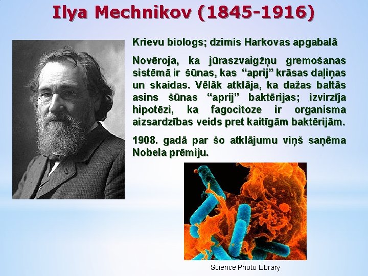 Ilya Mechnikov (1845 -1916) Krievu biologs; dzimis Harkovas apgabalā Novēroja, ka jūraszvaigžņu gremošanas sistēmā