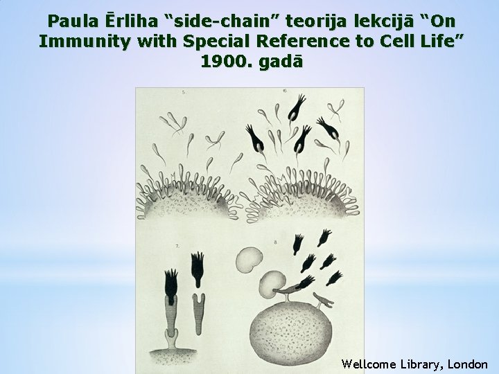 Paula Ērliha “side-chain” teorija lekcijā “On Immunity with Special Reference to Cell Life” 1900.