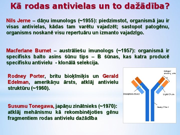 Kā rodas antivielas un to dažādība? Nils Jerne – dāņu imunologs (~1955): piedzimstot, organismā