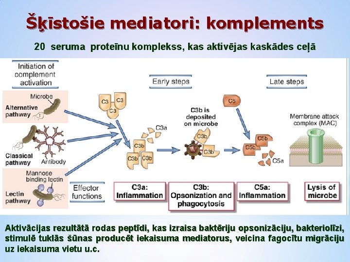 Šķīstošie mediatori: komplements 20 seruma proteīnu komplekss, kas aktivējas kaskādes ceļā Aktivācijas rezultātā rodas