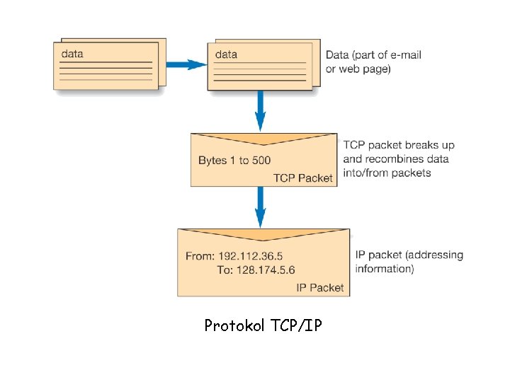 Protokol TCP/IP 