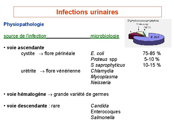 Infections urinaires Physiopathologie source de l’infection • voie ascendante cystite flore périnéale urètrite flore